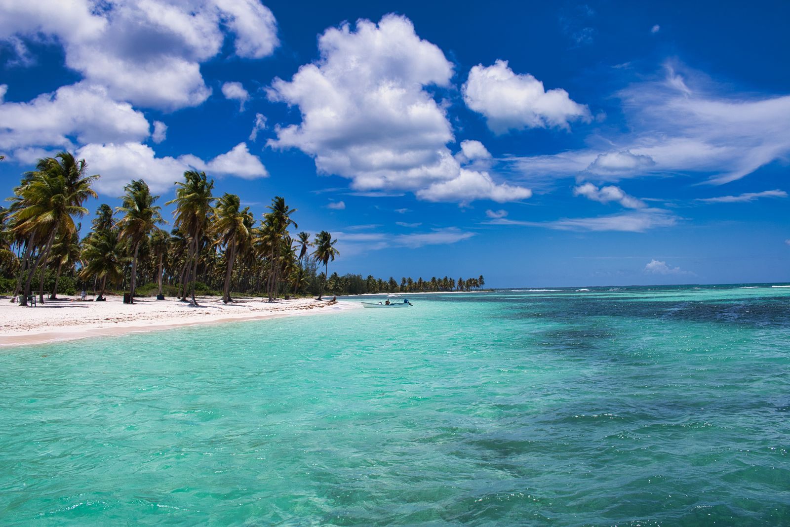 Palm-lined Caribbean beach with clear turquoise water