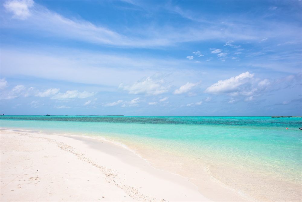 White-sand beach and turquoise Caribbean water under a blue sky