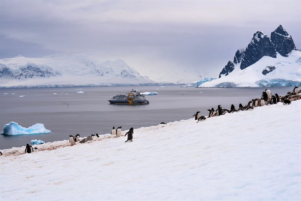 Penguins on a snowy shore with an expedition ship anchored beyond